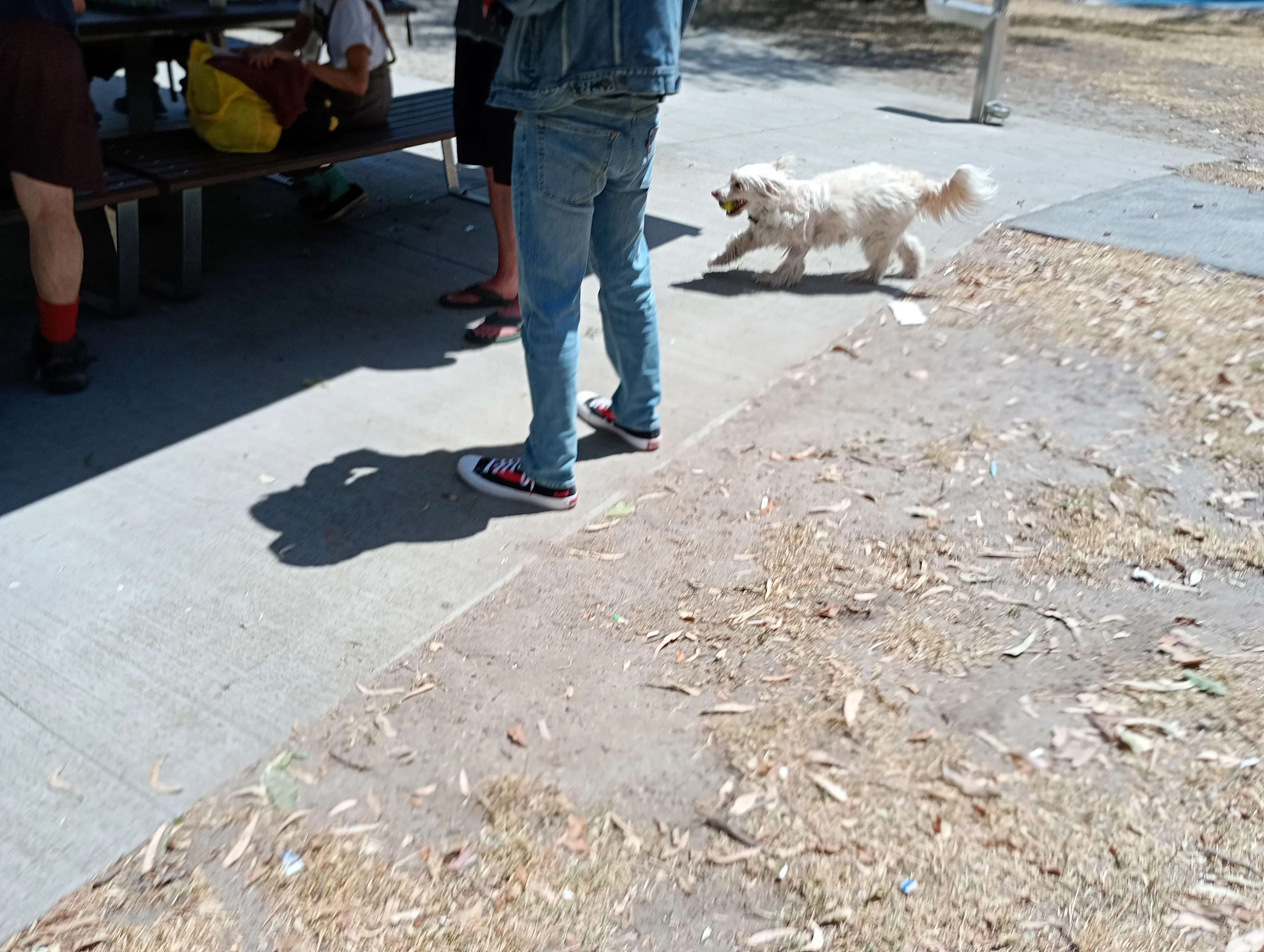 Gallery image: A8701DB0 C98B 483F A695 6E89AC83FA23.webp