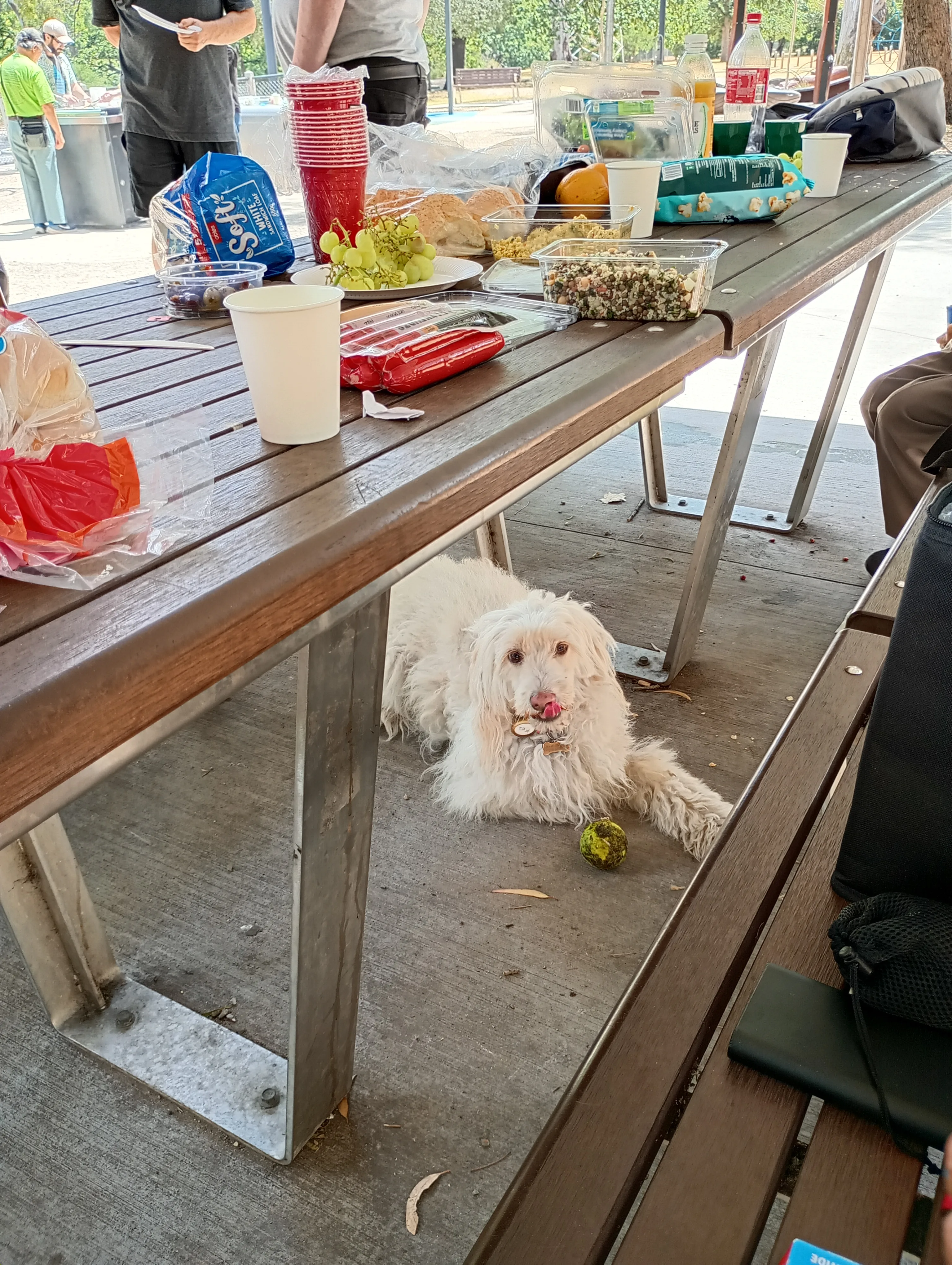 Gallery image: D5F1E916 6F1E 4939 9B51 B3DC66CFB356.webp